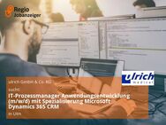 IT-Prozessmanager Anwendungsentwicklung (m/w/d) mit Spezialisierung Microsoft Dynamics 365 CRM - Ulm