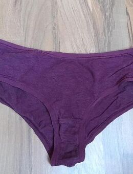 Lila Panty Damen Höschen Gr S 36 - Hagen (Stadt der FernUniversität)