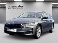 Skoda Octavia, 1.5 TSI Combi Selection, Jahr 2024 - Schlüchtern