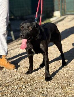 MOWGLI - mit viel Energie viel erleben - Overath