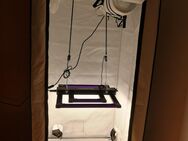 Growbox 80x80x1,80 mit Zubehör, 200W LED Starterpaket - Karlsdorf-Neuthard