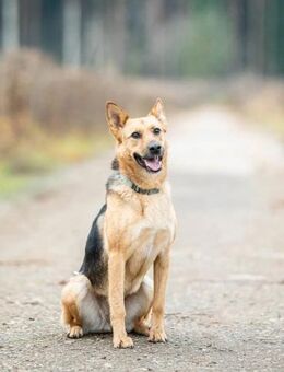 Wo sind die Menschen für Pika❤️? - Rott (Inn)