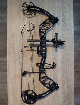 Bear Archery Species XT - Haren (Ems)