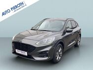 Ford Kuga, 2.5 Duratec ST-LINE X, Jahr 2020 - Worms