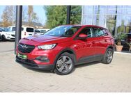 Opel Grandland X 1.6 Turbo Hybrid EDITION LED, DAB - Plauen