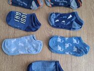 7 Paar Sneakersocken für Jungs Gr.23-26 - Königswinter