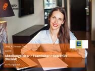 Abteilungsleiter / Teamleiter / Getränke (m/w/d) - Pfungstadt