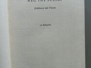 Koenig: Weg ins Schilf. Erlebnisse mit Tieren (1949) - Münster