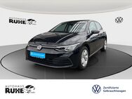 VW Golf, 1.5 TSI VIII Life 96kW, Jahr 2024 - Dinklage