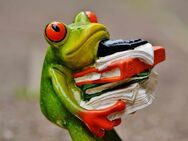 Bürokraft (w/m/d) gesucht! Quereinstieg möglich! - Naumburg (Saale)