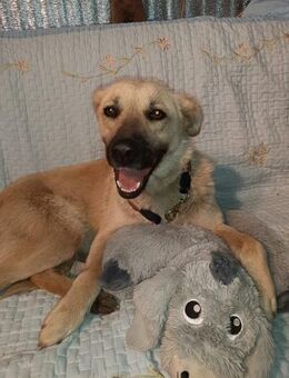 Sophie - Mönchengladbach