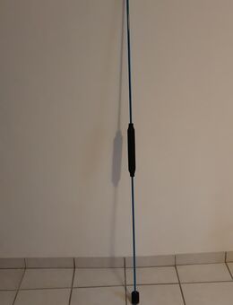 Schwingstab - Reutlingen