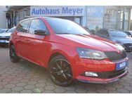 Skoda Fabia 1.2TSI Monte Carlo Pano/SmartLink/SHZ - Sickte