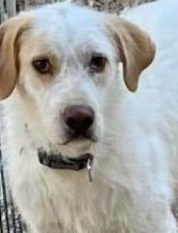 BERTO - ein kleines Sozialprojekt! - Sulzbach-Laufen