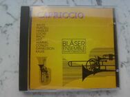 Bläserensemble Marktoberdorf CD Capriccio 5,- - Flensburg