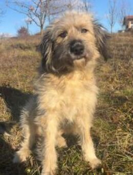 FREDERIKE ist startklar um umzuziehen:-) - Berlin