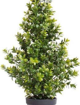 Künstliche Zimmerpflanze Buchsbaum im Topf Buchs, Botanic-Haus, Höhe 60 cm
