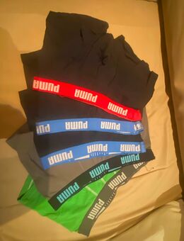 PUMA, Pants, Short, Baumwolle, M/L, Set mit 5 Stück - Memmingen