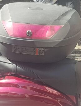 Motorrollerkoffer - Alfter