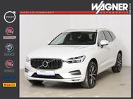 Volvo XC60 B5 D AWD Geartronic Inscription *Xenium* - Donauwörth