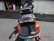 Treuer Freund zu verkaufen - Loxstedt