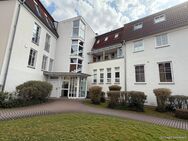 Helle Wohnung in bester Lage direkt am Schlossgarten von Veitshöchheim - Veitshöchheim