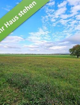 Das Haus für alle Lebensphasen im kommenden Baugebiet in Cramme. - Cramme