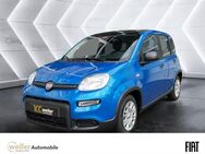 Fiat Panda, Pandina 3 Sitz hinten, Jahr 2024 - Bietigheim-Bissingen