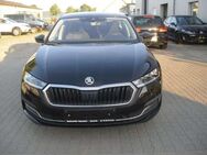 Skoda Octavia Style - Neuzelle