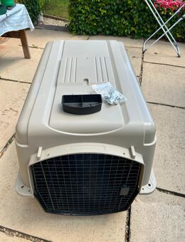 Hundebox Flugzeug - Mettlach