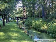 Ferienobjekt - Märchenhafte Idylle mitten im Spreewald - 15.787 m² groß - - Lübbenau (Spreewald)