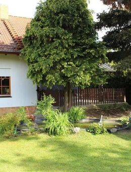 Neuer Preis! EFH, 3 km vom Zwenkauer See mit EBK, Balkon, Keller, Carport und Gartenhaus... - Leipzig