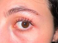 WimpernLifting - Wuppertal
