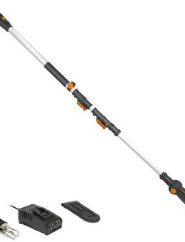 Worx Akku-Hochentaster 20V Akku Hochentaster, 20cm, Teleskopgriff max. 3,6m, (Set, Gartenscheren-Maschinen), inklusive 20V/2Ah Akku und Ladegerät