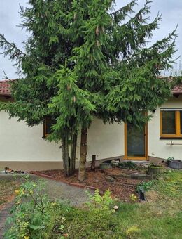 freistehendes Einfamilienhaus auf grünem Grundstück - Taucha