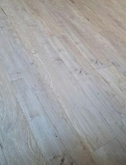 Haushaltshilfe, Putz-/Reinigungskraft gesucht - Görlitz