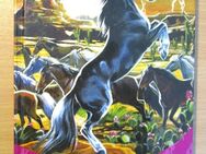 Pony Club Der geheimnisvolle Hengst von Sharon Siamon 1. Auflage - Naumburg (Saale) Janisroda