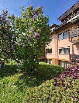 ++ Top Preis und bezugsfrei ++ - Freiburg (Breisgau)