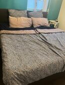 Wasserbett Bellvita 200cmx220cm in 92361