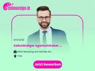 Selbständiger Agenturinhaber (m/w/d) - Versicherungen und Finanzen - Trier
