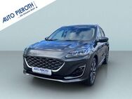 Ford Kuga 2.5 Duratec PHEV VIGNALE - Worms