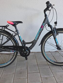 Verkaufe ein Fahrrad der Marke Raleigh 26Zoll 7Gang Nabenschaltung - Roding Zentrum