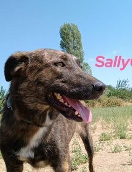 Sally6 ruhig, sanft & wunderschön! GRC - Ruppertsecken