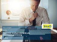 Financial Analyst (m/w/d) als Elternzeitvertretung - Melle