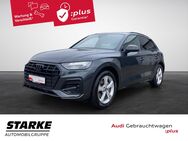 Audi Q5, 35 TDI advanced 19-Zoll Plus OptikPaket-schwarz, Jahr 2023 - Osnabrück