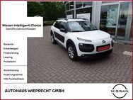 Citroen C4 Cactus Feel - Eisleben (Lutherstadt) Wolferode