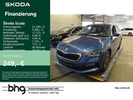 Skoda Scala, 1.5 TSI DRIVE 125, Jahr 2021 - Freiburg (Breisgau)