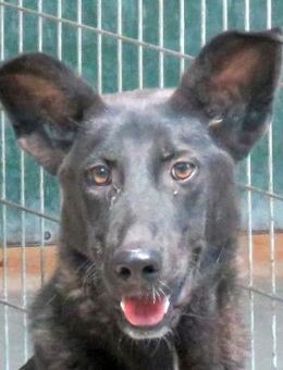 Arco -aktiv und verspielt- - Oldenburg