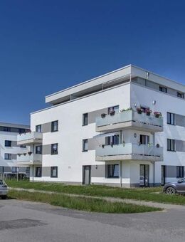 *Stufenloser Zugang zur hellen 2-Zimmer Wohnung in Mengede* - Dortmund