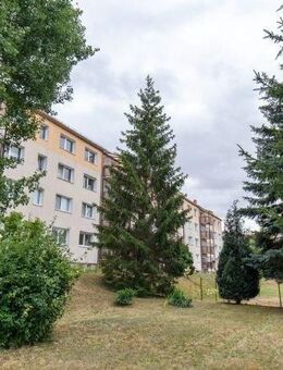 Freiraum. 2 Zimmerwohnung in Colditz. - Colditz